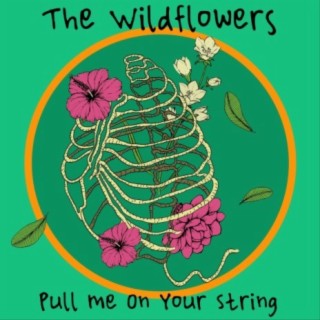 Pull Me on Your String cover art