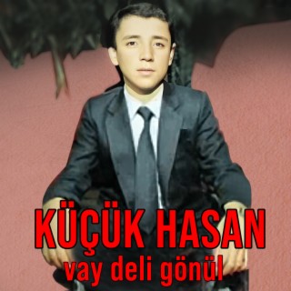 Vay Deli Gönül cover art