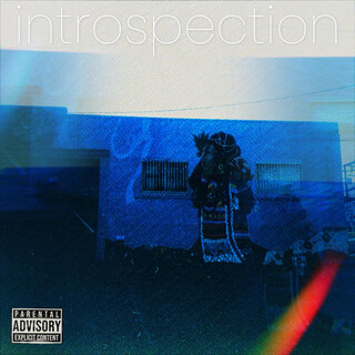 Introspection cover art