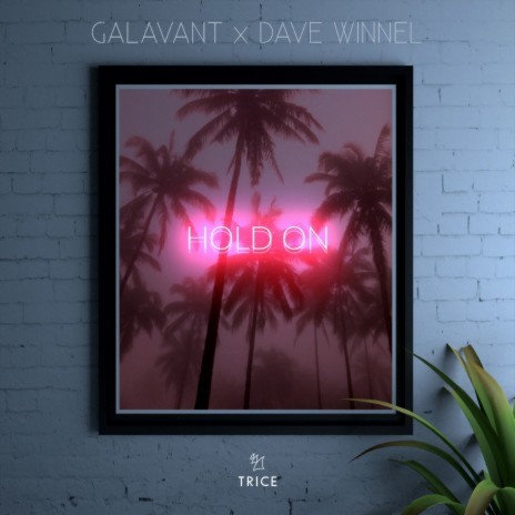 Hold On ft. Dave Winnel