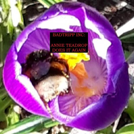 Annie Teardrop Does it again cover art