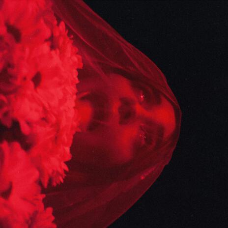 Hasta Que La Muerte Nos Separe cover art