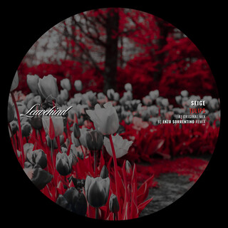 Tulips (Enzo Sorrentino Remix) cover art