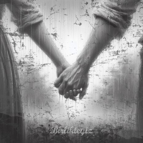 Birlikteyiz cover art