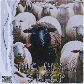The Black Sheep