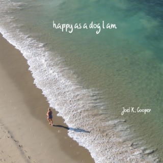 Joel R. Cooper