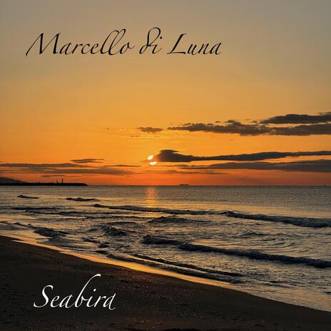 Seabird cover art