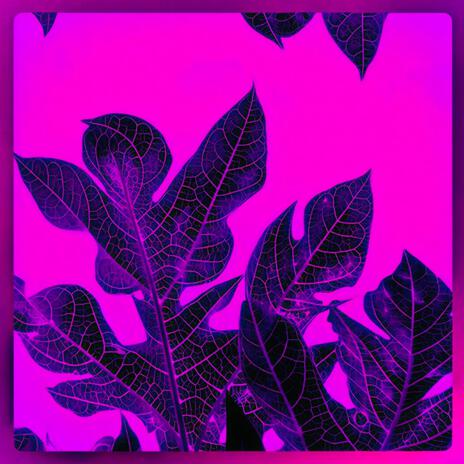 Hollow Echo (Slowed & Reverbed) cover art