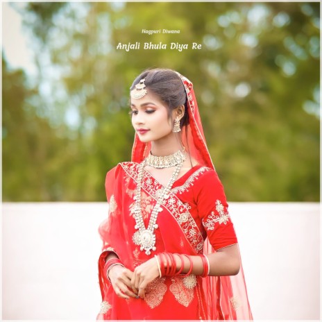 Anjali Bhula Diya Re