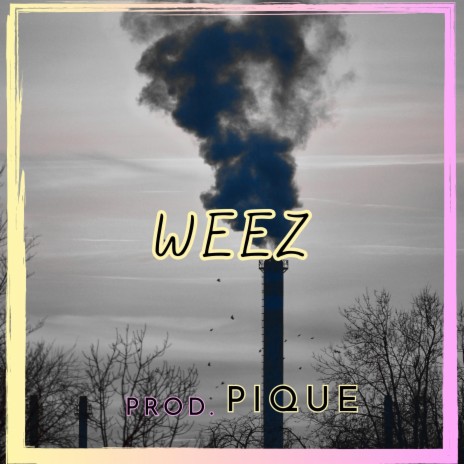 weez cover art