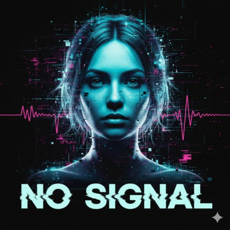 No Signal