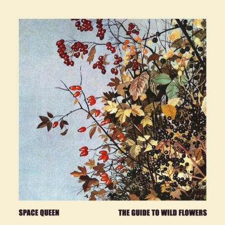 The Guide to Wild Flowers cover art