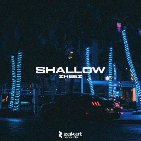 Shallow cover art