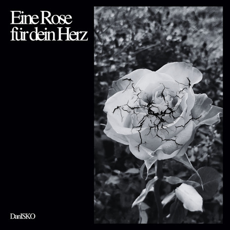 Eine Rose für dein Herz cover art