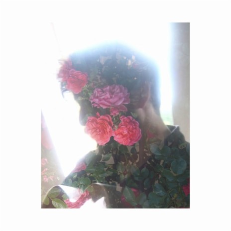 Rosalie