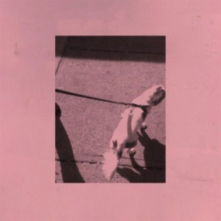 Dogbite