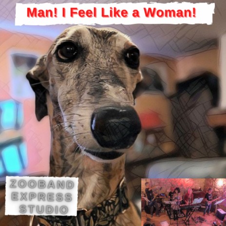 Man! I Feel Like a Woman cover art
