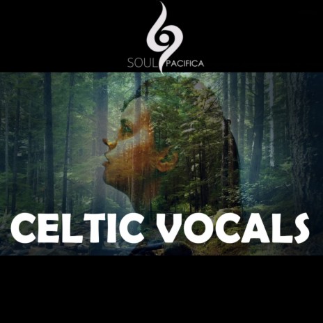 Celtic Vocals cover art