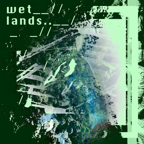 Like Swans that Abandon the Lake cover art