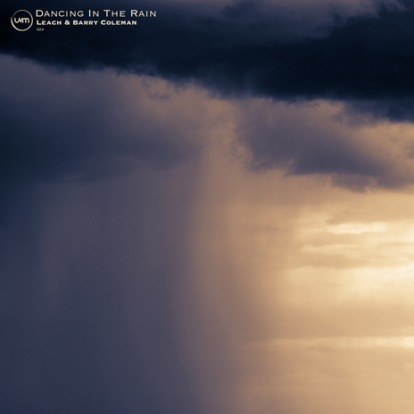 Raindance ft. Barry Coleman cover art