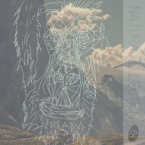 Natural Selection cover art
