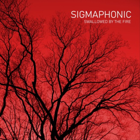 Silence of Night cover art
