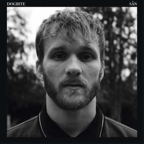 Sån ft. Viking cover art