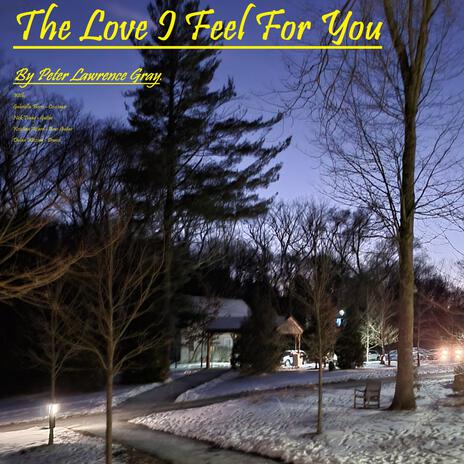 The Love I Feel For You ft. Gabriela Flores cover art
