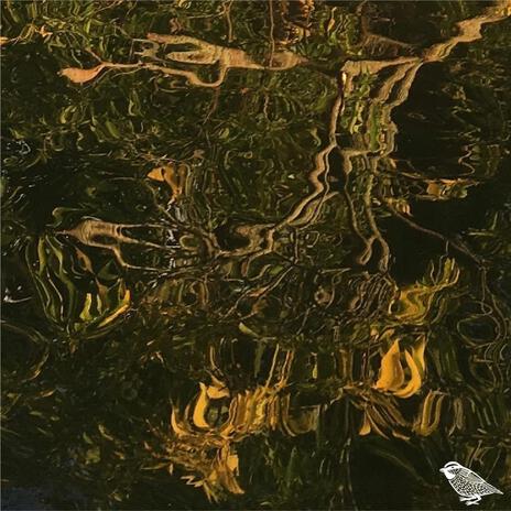 Sally (Instrumental) cover art