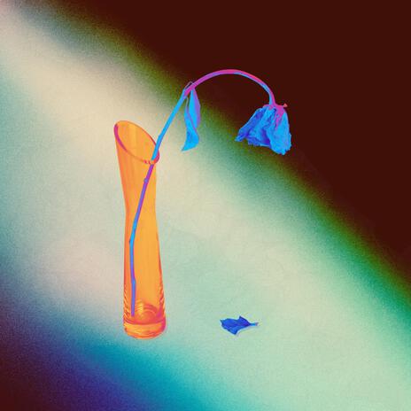 we could have seen the leaves change cover art