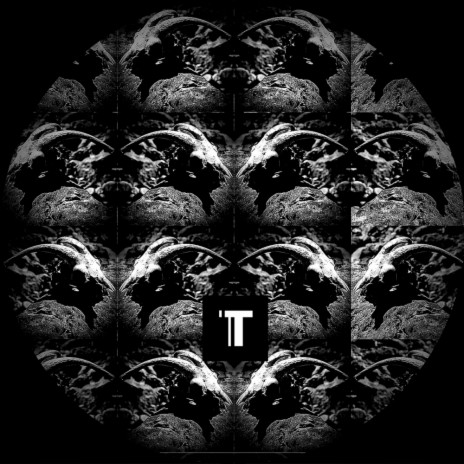 Hungarian Shards (Aaron Udy Remix) cover art