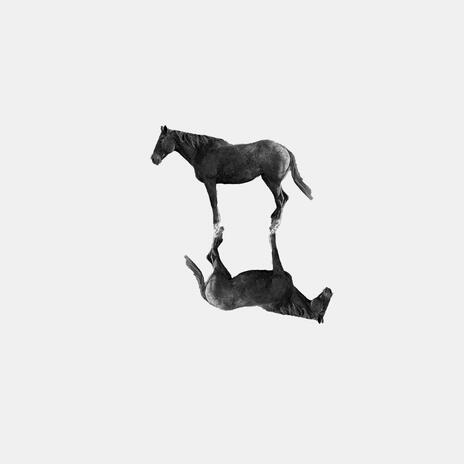 One Horse