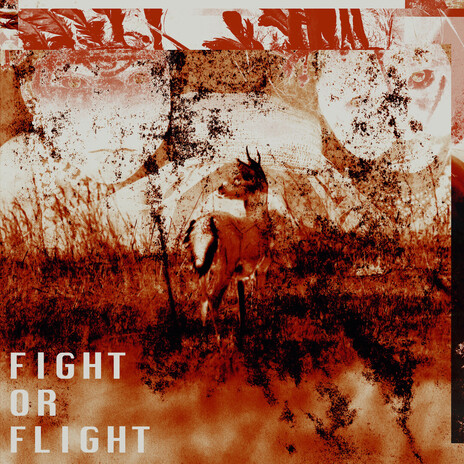 The Hunt cover art