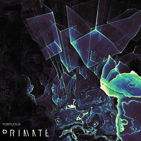 Tortuous cover art