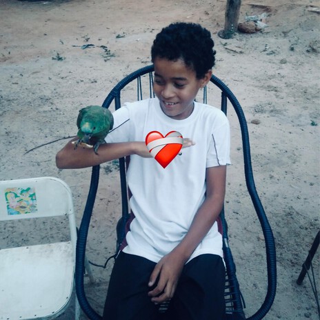 Me Sinto Xoolin cover art