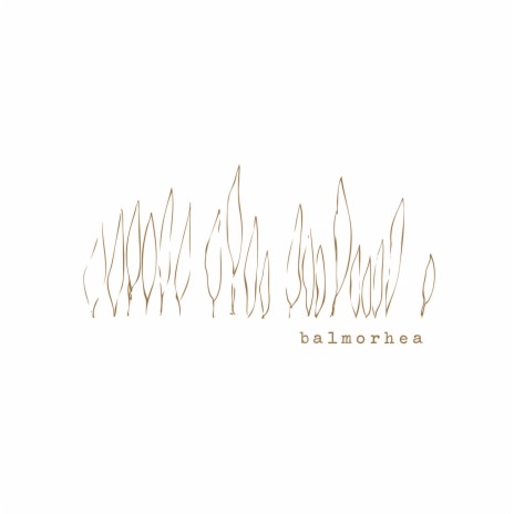 Baleen Morning cover art