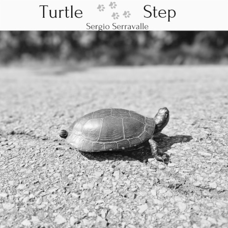 Turtle Step