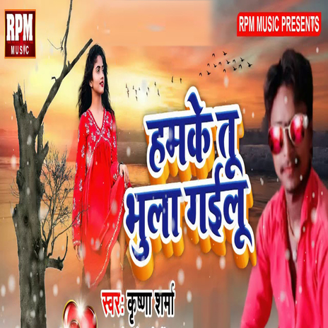 Hamke Tu Bhula Gailu cover art