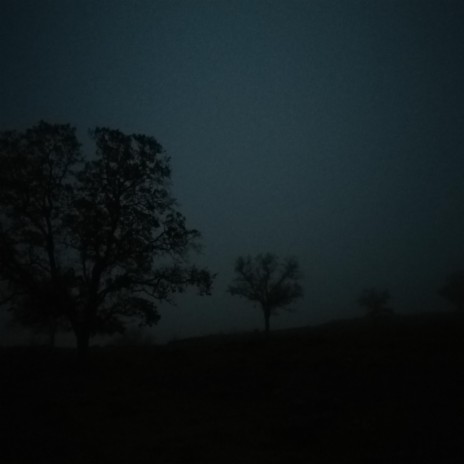 Mist