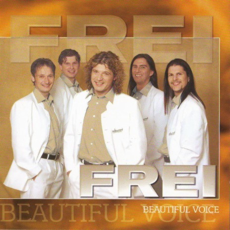 Ich lass’ dir meine Träume da cover art