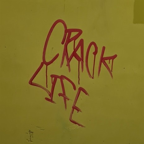 Crack Life cover art