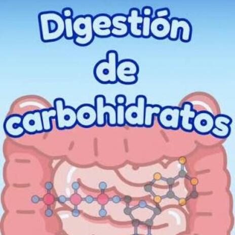 Digestion de carbohidratos cover art