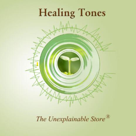 Spiritual Well Being (1565hz) cover art