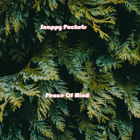 Peace of Mind, Pt. 2 cover art