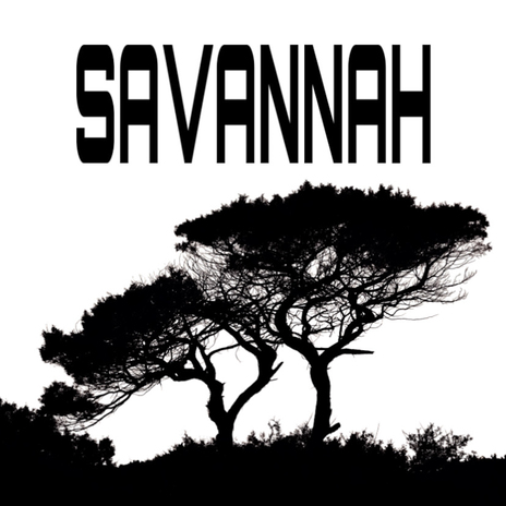 Savannah cover art