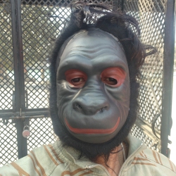 author avatar