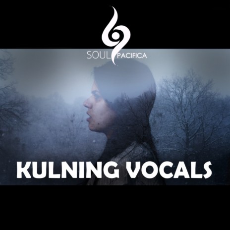 Kulning Vocals cover art