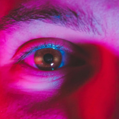 The Insanity Within cover art