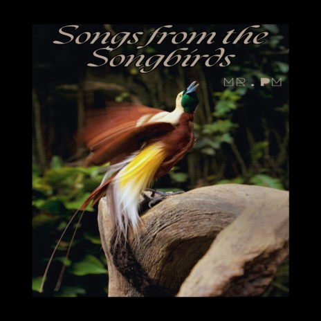 Song of the Songbirds (Intro) cover art