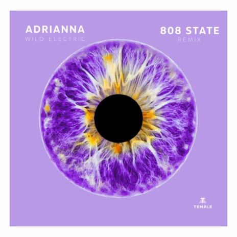 Wild Electric (808 State Remix Radio Edit) cover art